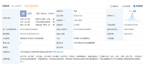 羅永浩官宣新創業公司Thin Red Line，目標AR行業教育咨詢